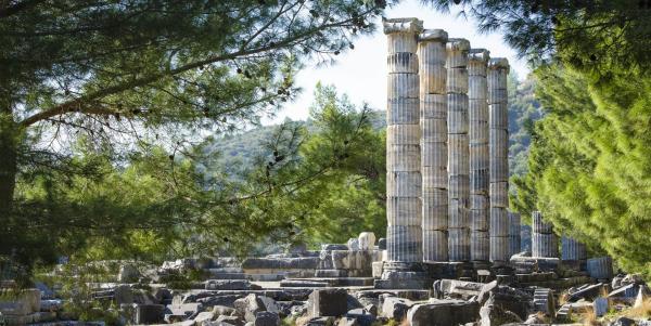 Priene & Miletus & Didyma Tour