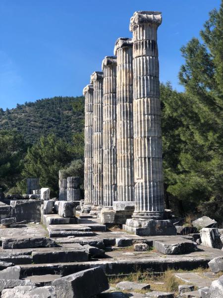 Priene Ancient City Arkeopolis | Daily Culture Tours