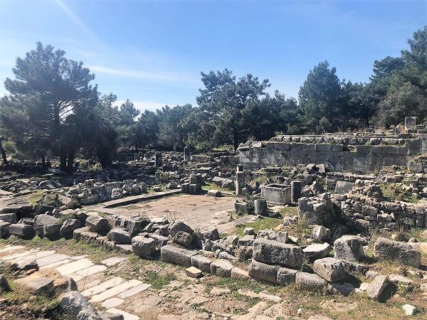 Priene Ancient City Arkeopolis | Daily Culture Tours