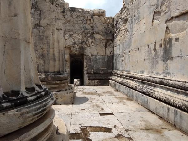 Didyma Temple of Apollo | Daily Culture Tours