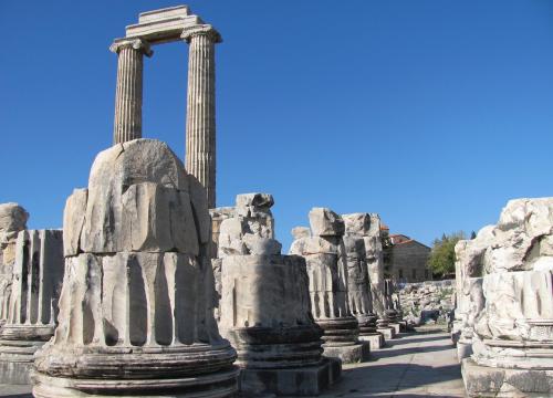 Private - Priene, Miletus and Didyma Full-Day Tour - 3