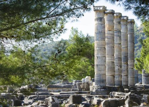 Private - Priene, Miletus and Didyma Full-Day Tour - 1