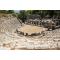 Priene & Miletus & Didyma Tour