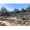 Priene Ancient City Arkeopolis | Daily Culture Tours