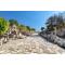 Unearthing Grandeur: Your Essential Guide to Visiting Ancient Ephesus